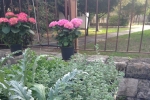 Flowers Festival, Spring and Mother's Day in Byblos Old Souk!