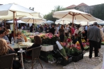 Flowers Festival, Spring and Mother's Day in Byblos Old Souk!