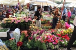 Flowers Festival, Spring and Mother's Day in Byblos Old Souk!