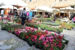 Flowers Festival, Spring and Mother's Day in Byblos Old Souk!