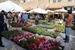 Flowers Festival, Spring and Mother's Day in Byblos Old Souk!