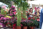 Flowers Festival, Spring and Mother's Day in Byblos Old Souk!