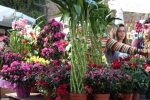 Flowers Festival, Spring and Mother's Day in Byblos Old Souk!