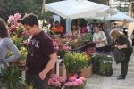 Flowers Festival, Spring and Mother's Day in Byblos Old Souk!