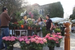 Flowers Festival, Spring and Mother's Day in Byblos Old Souk!