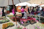 Flowers Festival, Spring and Mother's Day in Byblos Old Souk!