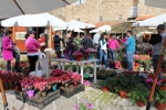 Flowers Festival, Spring and Mother's Day in Byblos Old Souk!
