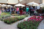 Flowers Festival, Spring and Mother's Day in Byblos Old Souk!