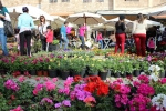 Flowers Festival, Spring and Mother's Day in Byblos Old Souk!