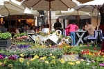 Flowers Festival, Spring and Mother's Day in Byblos Old Souk!