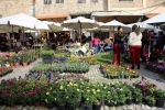 Flowers Festival, Spring and Mother's Day in Byblos Old Souk!