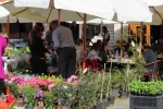 Flowers Festival, Spring and Mother's Day in Byblos Old Souk!
