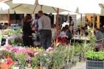 Flowers Festival, Spring and Mother's Day in Byblos Old Souk!