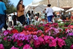 Flowers Festival, Spring and Mother's Day in Byblos Old Souk!