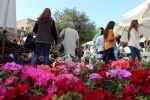 Flowers Festival, Spring and Mother's Day in Byblos Old Souk!
