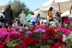 Flowers Festival, Spring and Mother's Day in Byblos Old Souk!