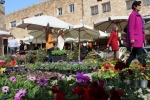 Flowers Festival, Spring and Mother's Day in Byblos Old Souk!