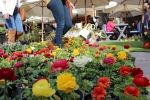 Flowers Festival, Spring and Mother's Day in Byblos Old Souk!