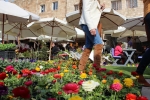 Flowers Festival, Spring and Mother's Day in Byblos Old Souk!