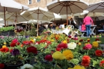 Flowers Festival, Spring and Mother's Day in Byblos Old Souk!